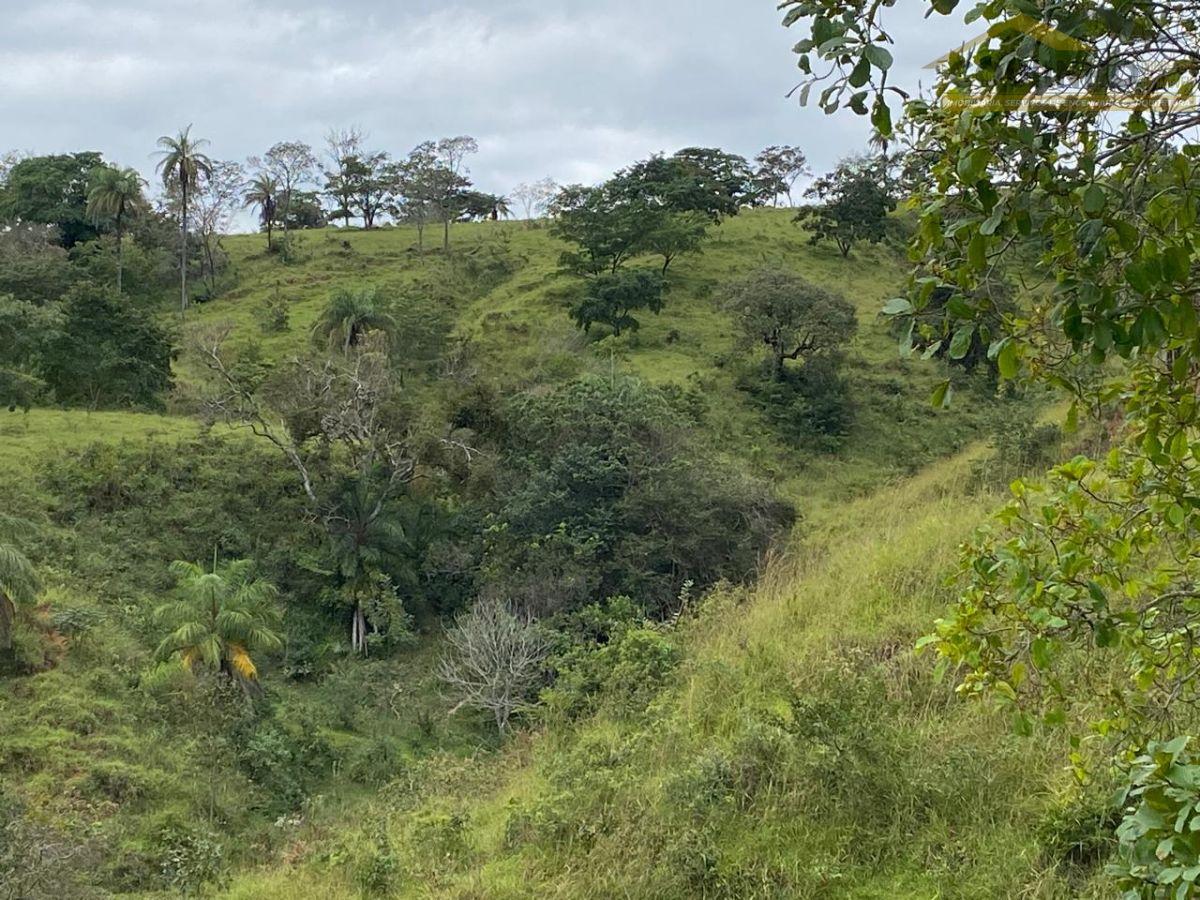 WhatsApp Image 2025-05-14 at 14.45.39 (6).jpeg